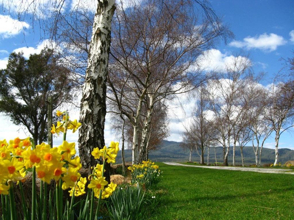 Вілла Plovers Ridge Country Retreat Lilydale Номер фото